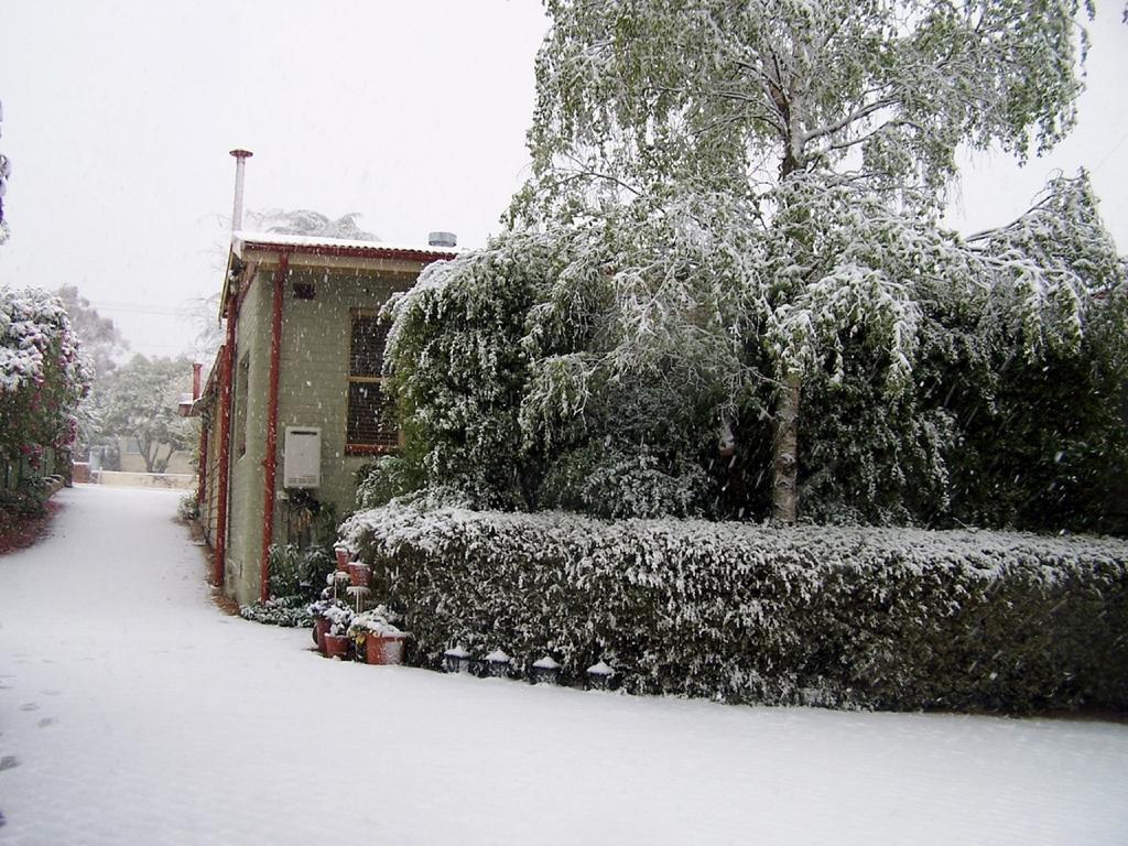 Villa Shelton-Lea Katoomba Exterior foto